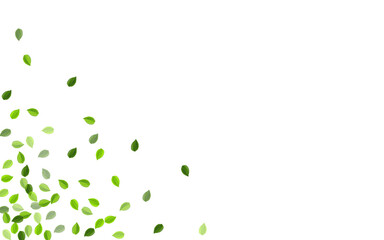 Forest Leaves Fly Vector Illustration. Spring 