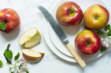 apples on a plate, white background