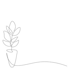 Indoor plant flower on table, vector illustration
