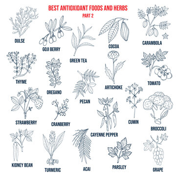 Antioxidant foods and herbs