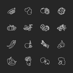 Vegetable chalk white icons set on black background. Tomato for ketchup. Potato and lettuce. Raw root, ripe bulb. Seasonal healthy food. Raw veggies. Isolated vector chalkboard illustrations