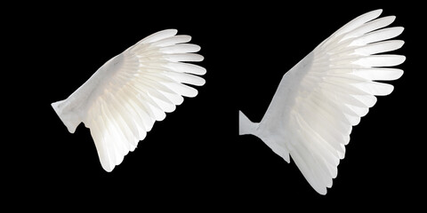 Fototapeta na wymiar White angel wings isolated on black background
