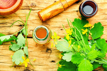 Celandine in herbal medicine