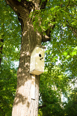 Bird house on a spring tree