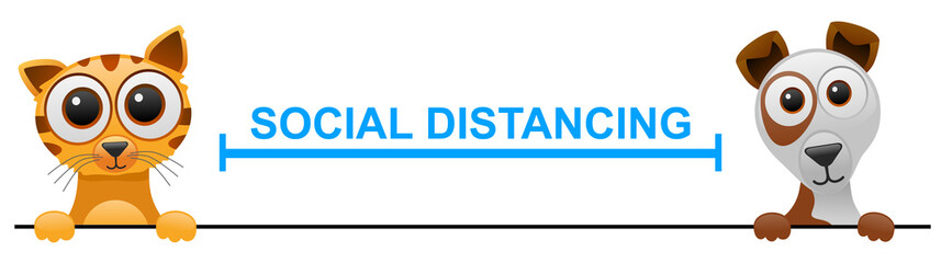 Cute pets with social distance.Vector illustration of pets social distancing.
