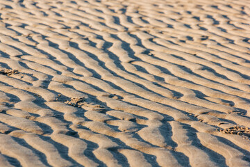 Rillen im Wattenmeer im Sommer