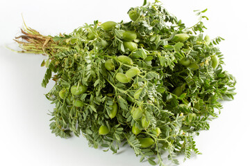 fresh green chickpeas close up