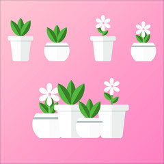 vector illustration plants and flowers in pots ,flat style and icon of room plants.