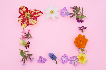 Fototapeta na wymiar Summer garden flowers frame on the pink background.