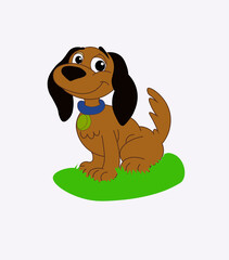 cute dog with white background