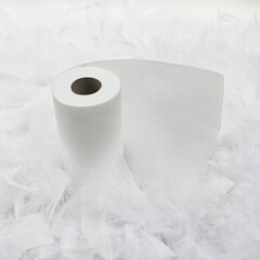 Soft toilet paper concept with feathers