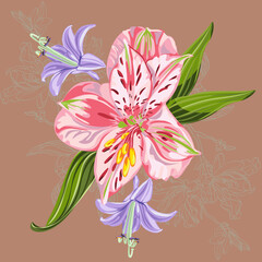 vector illustration of a flower