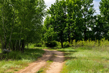Fototapeta na wymiar Photo of a rural landscape with a country road passing between trees