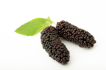 fresh and ripe mulberries background