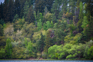 Zlutice, Karlovy Vary, Czech Republic, May 2020: Czech landscape in spring time