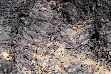 truck wheel imprints in wet soil on edge of plowed field in spring