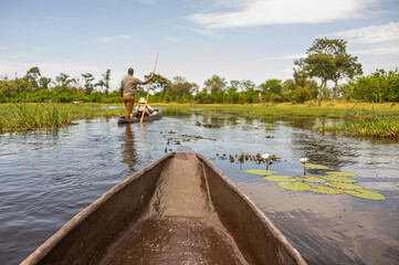 Canoeing  traditional Mokoro boats on the Khwai River in the Moremi Game Reserve Botswana