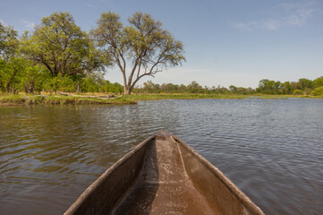Canoeing  traditional Mokoro boats on the Khwai River in the Moremi Game Reserve Botswana