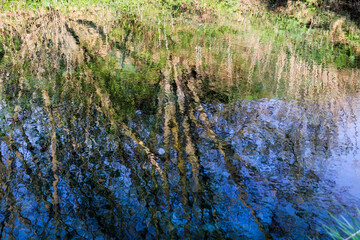 природа россии