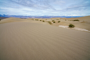 mesquite flat sand dunes in death valley national park in california, usa