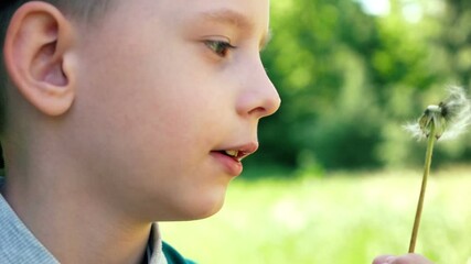 Close-up time lapse boy of a Caucasian preschool child with a great desire blows a dandelion on a warm sunny day