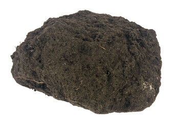 Clump of soil isolated on a white background close-up.