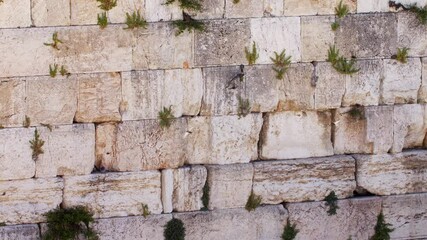 The wailing Wall (kotel,Western) With Swifts Birds Flying 