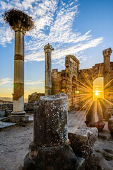 Volubilis is a partly excavated Berber city in Morocco situated near the city of Meknes, and...