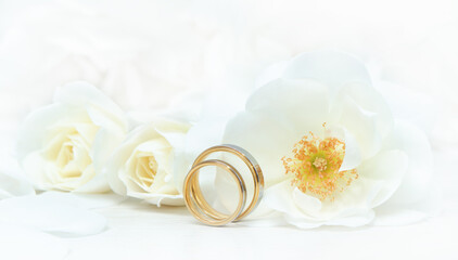 Close-up of wedding rings on background of roses