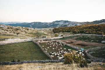 Fototapeta na wymiar Rural natural landscape with sheepfolds