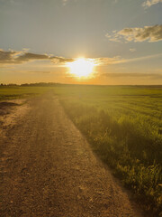 Pole z widokiem na zachodzące słońce