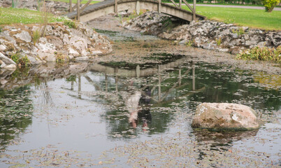 Reflection of bride and groom on bridge