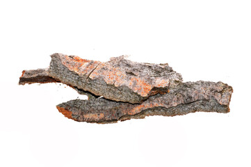 tree bark isolated on white background