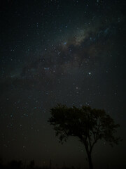 Milky Way in starry sky with tree and landscape below, timelapse sequence image 93-100
Night landscape in the mountains of Argentina - Córdoba - Condor Copina