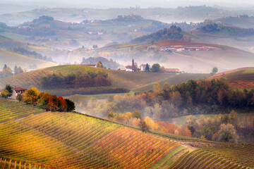 Sunrise on Barolo lands and fog in Langhe Region, Piemonte Piedmont. Unesco World Heritage site in Northern Italy. Agriculture Vineyards and Wine production. - obrazy, fototapety, plakaty