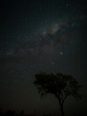 Fototapeta na wymiar Milky Way in starry sky with tree and landscape below, timelapse sequence image 75-100 Night landscape in the mountains of Argentina - Córdoba - Condor Copina