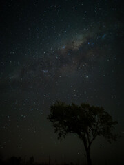 Milky Way in starry sky with tree and landscape below, timelapse sequence image 71-100
Night landscape in the mountains of Argentina - Córdoba - Condor Copina