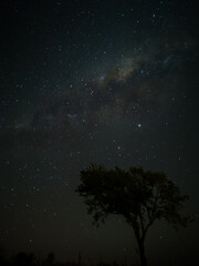 Milky Way in starry sky with tree and landscape below, timelapse sequence image 66-100
Night landscape in the mountains of Argentina - Córdoba - Condor Copina
