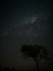 Milky Way in starry sky with tree and landscape below, timelapse sequence image 49-100
Night landscape in the mountains of Argentina - Córdoba - Condor Copina