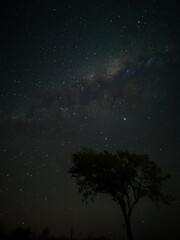 Milky Way in starry sky with tree and landscape below, timelapse sequence image 48-100
Night landscape in the mountains of Argentina - Córdoba - Condor Copina