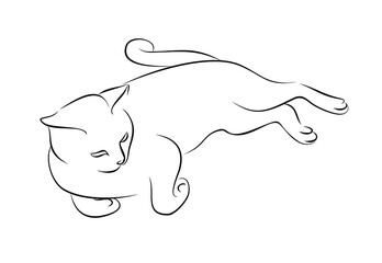 Sketch of a purebred cat