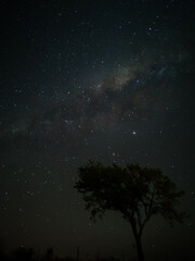 Fototapeta na wymiar Milky Way in starry sky with tree and landscape below, timelapse sequence image 38-100 Night landscape in the mountains of Argentina - Córdoba - Condor Copina