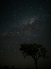 Fototapeta premium Milky Way in starry sky with tree and landscape below, timelapse sequence image 34-100 Night landscape in the mountains of Argentina - Córdoba - Condor Copina