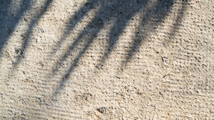 Fototapeta na wymiar grey wall with shadow of the branches