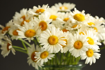 bouquet of daisies in a vase close-up on black background
