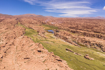 Aerial at Mallcu Garden- South of Bolivia.