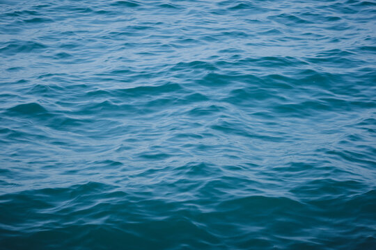 clam motion sea wave. ocean surface texture.