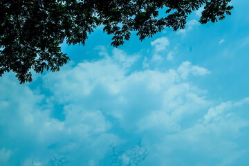 Obraz premium This is the most beautiful picture of cloudy sky and trees.
