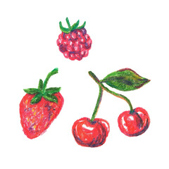 Elements of fruit twig with cherry, raspberry and strawberry berry drawn in oil pastel for design and decoration. Sprig with cherries, raspberries and strawberries