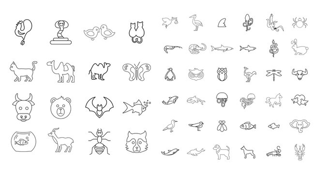 Animals line icon set. with birds and sea animals